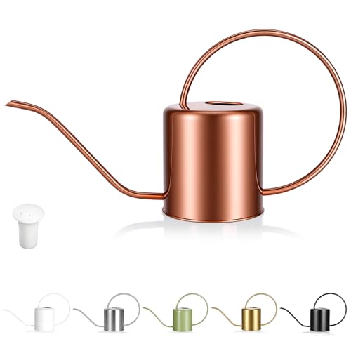 Plant Watering Can, 50 oz / 1500 ml Stainless Steel Metal - Modern Decorative with Long Spout for Indoor Potted Plants, Bonsai, Garden Flowers, Copper - color: Copper