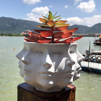 Resin Multi-Face Head Planter, Indoor Succulent Decor | Multi-face design, sturdy & durable. Succulent & cactus container, creative home accent, unique gift choice.
