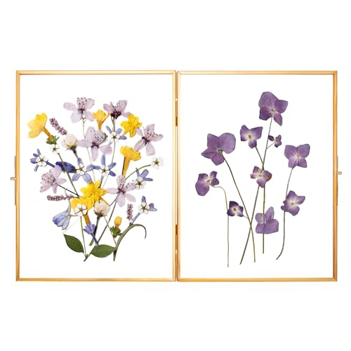 REDHUGO Glass Pressed Flower Frame Handmade, Rectangle, Gold, 8×10 Inches | Hinged Double Press Flower Frame, Tabletop Brass Photo Frames, Rectangle Dried Flowers Display Folding Frames for Home - color: Gold, size: 8L" x 10W"