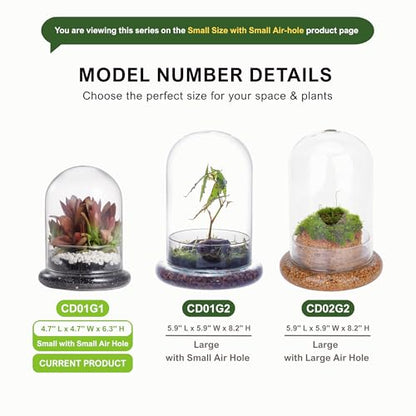 NCYP Small Clear Decorative Glass Terrarium Cloche with Air Hole - 4.7 x 4.7 x 6.3 Inches Glass Dome with Base for Miniature Carnivorous Plants (No Plants Included) - size: 4.7x4.7x6.3inches