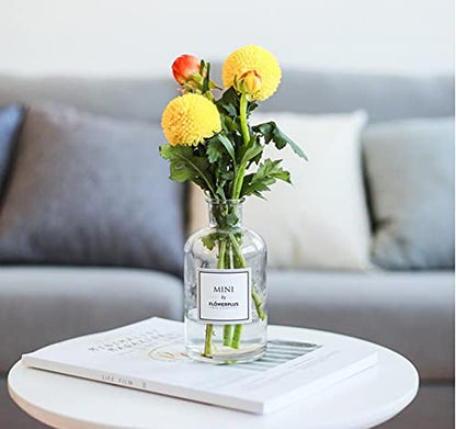 Glass Bud Vase Set Nordic Clear Glass Bud Flowers Apothecary Jars Mini Desktop Table Vases Decorative Glass Bottles Centerpiece for Wedding Craft Art Living Room Home Decoration (8.5oz-1pc) - size: 8.5oz-1pc