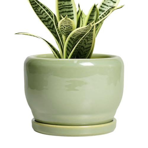 SQOWL Ceramic Pot for Plants - 6 Inch Planter for Indoor Outdoor Plants, Round Decorative Flower Pot with Drainage Hole and Saucer, Modern Small Planter, Patio Decor, Garden Gifts, Green - color: Glossy Green, size: 6 Inch