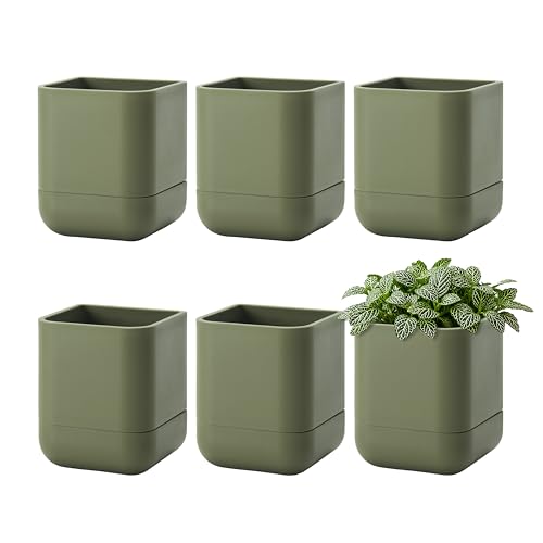 Phoenix Vine 3.5 Inch Wall Mounted Self-Watering Planter Pot for Indoor Houseplants and Herbs | Hanging Planter for Window Sills, Bathroom Walls, Home & Office Décor, Olive, Set of 6, 01-A-F-6 - color: Olive, size: 3.5" (6 Pack)