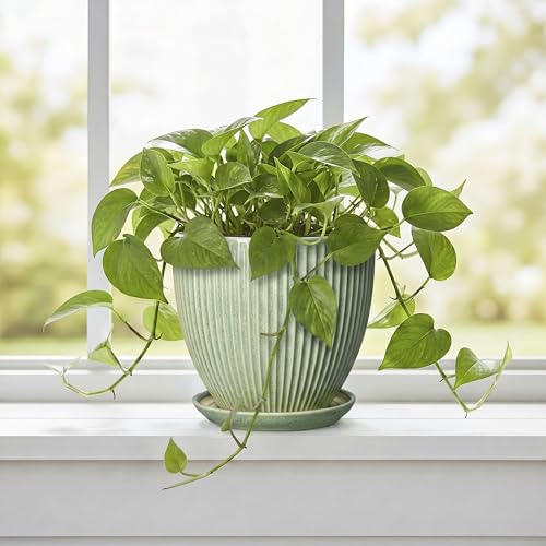 Ceramic Plant Pots, 6 Inch Ceramic Pots for Herb Snake Plants, Indoor Small Flower Pot with Drainage Hole and Saucer, Modern Round Planter, Room Office House Decor, Gardening Gifts, Green - size: 6 Inch, style: Green