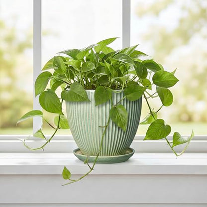 Ceramic Plant Pots, 6 Inch Ceramic Pots for Herb Snake Plants, Indoor Small Flower Pot with Drainage Hole and Saucer, Modern Round Planter, Room Office House Decor, Gardening Gifts, Green - size: 6 Inch, style: Green