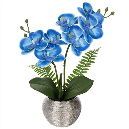 Briful 13" Small Artificial Orchid Flowers in Silver Ceramic Pot, Blue Faux Phalaenopsis Silk Orchid Arrangement Fake Orchid Plant for Bathroom Vanity Office Desk Shelf Coastal Home Decor - color: Blue Orchids Silver Vase