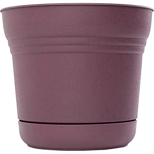 Bloem Saturn Planter with Saucer, 5", Passion Fruit (SP0529) - color: Passion Fruit, size: 5"