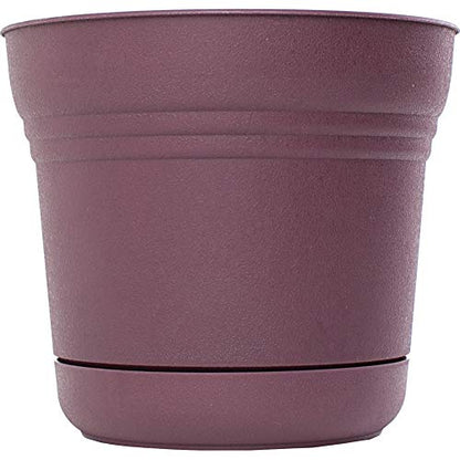 Bloem Saturn Planter with Saucer, 5", Passion Fruit (SP0529) - color: Passion Fruit, size: 5"