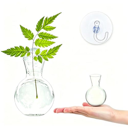 Suction Cup Plant Propagation Bulbs, Wall Hanging Plastic Terrarium Planter, Window Hydroponics Vase Tubes, Easy Install No Nails Plant Station for Home Bathroom Office Living Room Decor Plant Decor