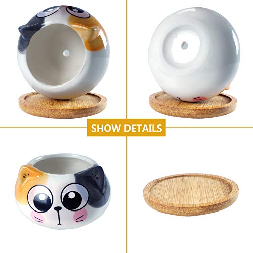 3.6Inch Cat Pot for Plant, Cat Planter Succulent Pot with Drainage Set of 6 | Tiny Animal Planter, Small Ceramic Air Plant Cat Flower Pots, Cactus Planters Containers with Bamboo Tray - color: Sitting Cats 6pcs