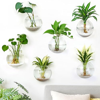 DomeStar Set of 6 Wall Vases, Wall Mounted Propagation Station | Hanging Glass Vases, Terrarium Station for Hydroponics, Plants Home Office Decor (5 Inch) - size: 6pcs