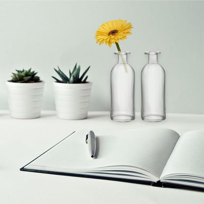 Nexboraque 12 Pack Glass Bud Vases | Clear Small Vases in Bulk Decorative Glass Flower Bottles for Table Centerpiece, Home Decor, Office, Wedding Reception