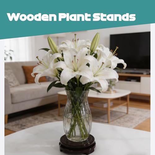 Wood Plant Stand Rotating,Vase Stand,Table Lamp Base,6.6 Inch Small Chinese Oriental Plant Stand,Bonsai Stand,Lamp Riser,Round Display Stand for Fishbowl Flower Pot Indoor