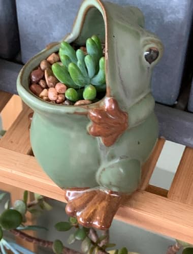 Cute Animal Shaped Vase Pot Home Decoration for Small Succulent Plants Cartoon Flower Pot Ceramic Succulent Planter with Drainage Hole Succulent Holder (Large Frog) - size: Large Frog