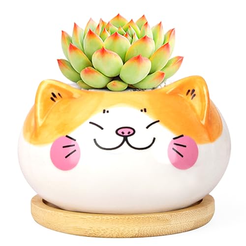 Cute Cat Animal Ceramics Planter Succulent Pot with Drainage | Plant Pot for Indoor Mini Plants Flower Cactus, Home and Garden Decor Fun Gifts - color: Cat