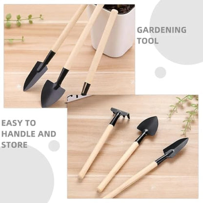 13-Piece Succulent Tool Set - Mini Gardening Kit with Stainless Steel Tweezers, Scissors, Shovel, Rake & Brush for Bonsai, Cactus, and Indoor Plant Care