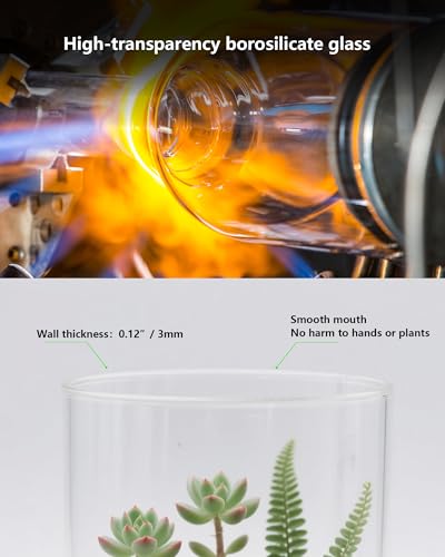 Desktop Glass Terrarium with Grow Light (9.8" H x 5.9" D) - for Succulents, Moss, Mini Gardens, Betta Fish Tanks, Mushroom Cultivation | Indoor Plant Growth | Office/Home Decor | Plant Lover Gifts - size: 9.8”