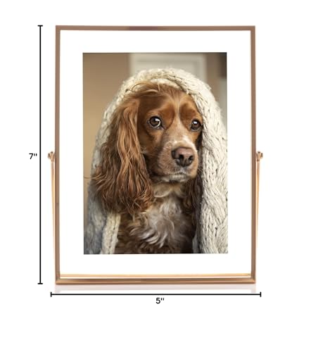 Lawrence Frames Metal Easel Float Picture Frame, 5x7, Gold - color: Gold, size: 5x7