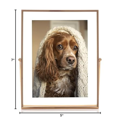 Lawrence Frames Metal Easel Float Picture Frame, 5x7, Gold - color: Gold, size: 5x7