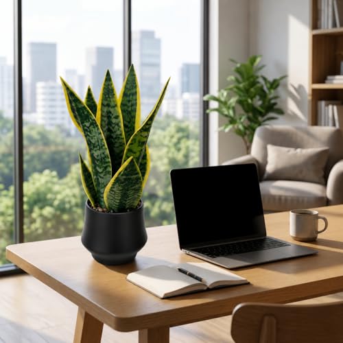 15" Artificial Snake Plant, Faux Sansevieria in Ceramic Pot
