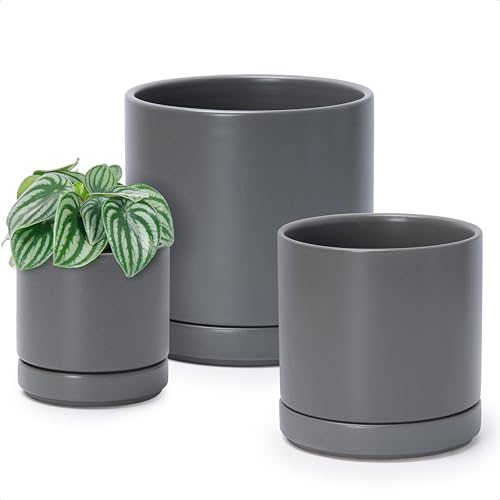 D'vine Dev 3-Pack Ceramic Pots with Saucers, 4/6/8 in, Grey, 94-T-M-3 | Glazed Ceramic, Drainage Hole, Perfect-Fit Saucer, Sleek Cylinder Shape, High Temperature Fired, Elegant Home Accent - color: Gray, size: 4"+6"+8"