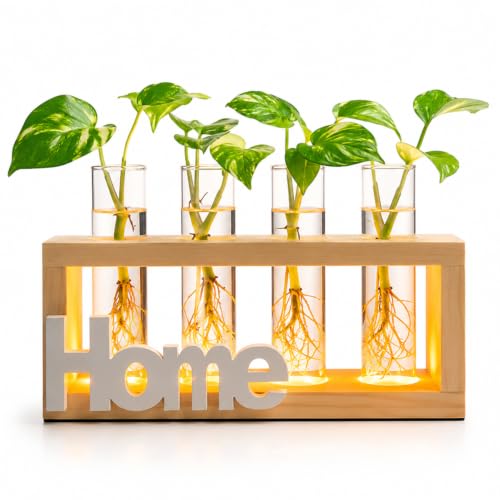 Plant Propagation Station with LED Grow Light Wooden Stand （Home） | plant terrarium with 4 glass propagation tubes and stepless LED light, perfect for indoor gardening, home decor - color: Home