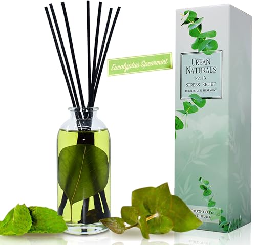 Reed Diffuser Set, Eucalyptus Spearmint - Stress Relief | Fragrance your Space, Fresh Scented Room Freshener and Home Decor, Home Gift Idea. Vegan - color: Eucalyptus Spearmint