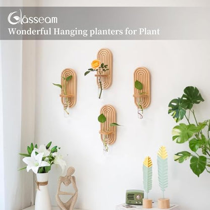 Glasseam Wall Plant Propagation Station: Hanging Glass Propagation Vases | Set of 3, Boho, Rustic Wooden Hydroponic Planter with Test Tube, Living Room, Entryway, Office, Indoor Pothos Cutting