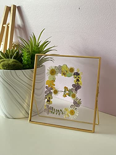Beedecor Double Glass Frame for Pressed Flowers, Leaf and Artwork Set of 3 Pressed Flower Frames with Stand - 6x6, 5x7 and 6x8 Gold Standing Square Metal Picture Frames, Tabletop Clear Floating Pressed Glass Frame, Home Decor Photo Display (Gold, Set of 3