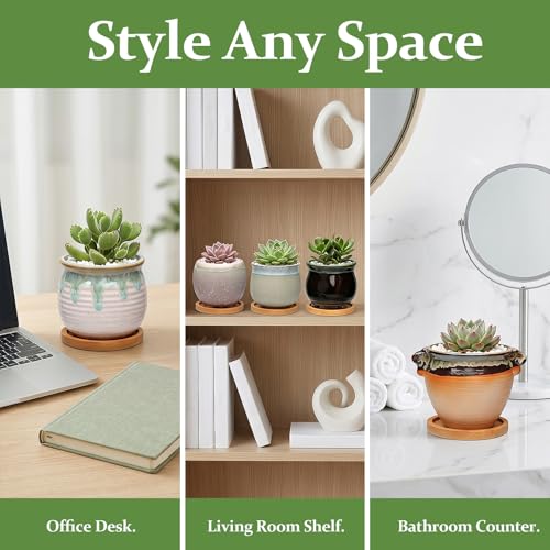 3.5 Inch Succulent Pot with Drainage,Planting/Flower Pots | Small Planter Pot for Mini Plant Ceramic Flowing Glaze Base Serial Set with Holes,Flower Pots with Tray for Home - size: 3.5inch-6pack