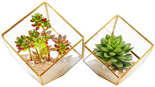 ELEGANTLIFE Glass Geometric Plant Terrarium,Succulent & Air Planter for Home Garden Office Decoration(Gold Cubic Set of 2) - color: Gold Cubic Set of 2