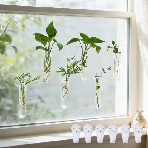 Bunmery 6 pcs Window Propagation Stations, Plant Propagation Tubes with suckion Cups & Nails, Easy to Install Wall Hanging Planter Propagation Station, Glass Plant Terrarium Vase