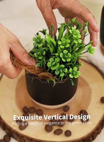 4" Black Ceramic Plant Pots with Drainage Holes & Trays Set of 4 | Vertical Stripes Succulent Pot with Saucer, Small Flower Planter Sets for Indoor Plants, Cactus & Herbs - color: Vertical Stripes - Black