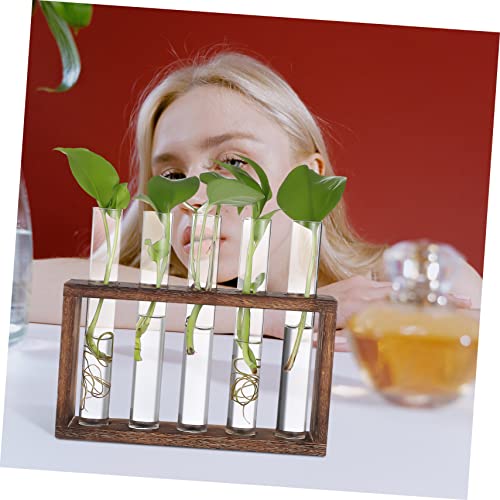 GALPADA Hanging Plant Propagation Station Set Hydroponic Glass Tubes with Cleaning Brush for Home and Office Decoration Wall-Mounted Plant Vase