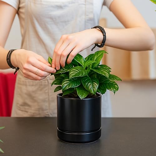D'vine Dev 4-Pack Ceramic Pots with Saucers, Black, 4.7 in, 94-X-B-2 | Glazed Ceramic, Drainage Hole and Saucer, Sleek Cylinder Shape, High Temperature Fired, Ideal for Small Houseplants - color: Black, size: 4.7 Inch