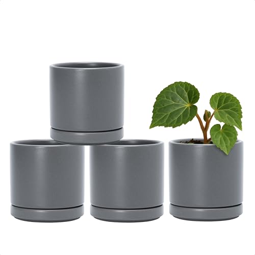 D'vine Dev 4-Pack Ceramic Pots with Saucers, Grey, 3.5 in, 94-X-A-3 | Glazed Ceramic, Drainage Hole and Saucer, Sleek Cylinder Shape, High Temperature Fired, Ideal for Small Houseplants - color: Gray, size: 3.5 Inch