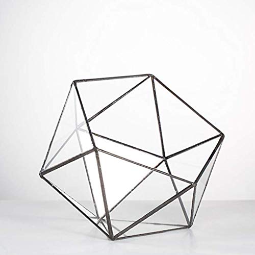 Glass Terrarium Storage Box Jewelry Holder Glass Geometric Tabletop Succulent Plant Box Planter Holder for Case Black Go - color: Gold