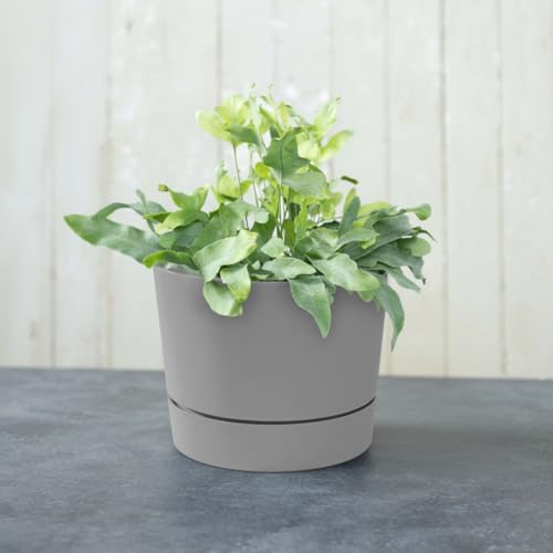 Root & Vessel Majestic Mid-Century Modern Low Profile Cylinder Pot, Matte Gray, 10.5" - color: Matte Gray, size: 10.5-Inch