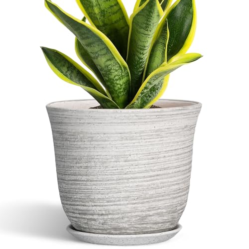 Ceramic Plant Pots - 8 Inch Plant Pot with Drainage Hole and Saucer, Round Flower Pots for Indoor Outdoor, Modern Planter, Decorative Planters, Home Apartment Decor, Gardening Gifts, Grey - color: Grey-white, size: 8 Inch