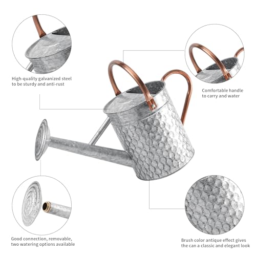 1 Gallon Metal Watering Can for Outdoor Indoor Plants, Galvanized Watering Can with Removable Spray Spout, Ideal for Garden Watering - color: Silver