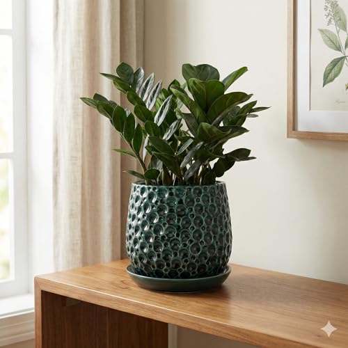 Aspen & Fig 6 Inch Green Indoor Ceramic Plant Pot with an Attached Saucer and Drainage Hole for House Plants, Herbs, Flowers, Succulent Plants, Snake Plants, Gifts for Mom