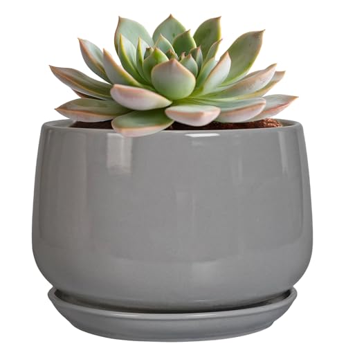 G EPGardening Ceramic Pot for Plants, 6 Inch, Gray | Modern Round Planter Indoor with Drainage and Tray, for Indoor Flower, Patio Decor, Teacher Gifts - color: Gray, size: 5 Inch
