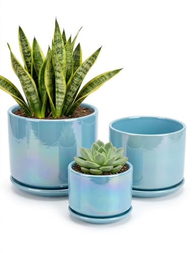 EFISPSS Ceramic Planter 4+5+6 Inch Ceramic Flower pots for Indoor Plants with Drainage,for Succulent Cactus,Garden Planters,Modern Decorative for Home Blue Pearl Glaze Plant Pots - color: Sky Blue