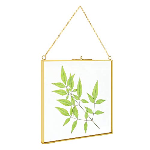 TLBTEK 8x8 inch Brass Hanging Photo Frame,Double Glass Frame for Pressed Flowers,Clear DIY Vintage Artwork Display Frame Wall Mounted Photos Frame - color: 8 x 8 Inch-Gold