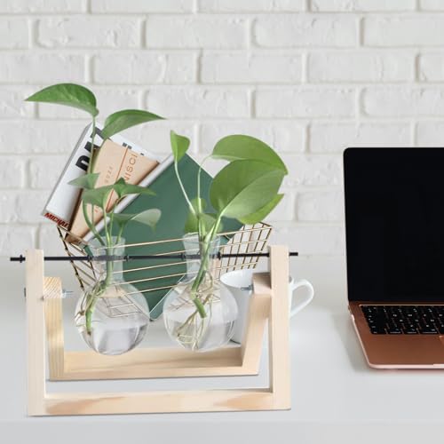 10pcs Plant Propagation Stations Rack - Tabletop Plant Terrarium Hanger Rod - Replacement Hydroponic Water Vase Stand for Home Office 30cm - size: 30.00X0.50X0.50CM