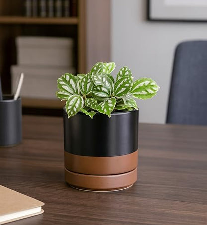 D'vine Dev 4-Pack Ceramic Pots with Saucers, Black/Tan, 4.7 in, 94-X-B-7 | Glazed Ceramic, Drainage Hole and Saucer, Sleek Cylinder Shape, High Temperature Fired, Ideal for Small Houseplants - color: Black/Speckled Tan, size: 4.7 Inch