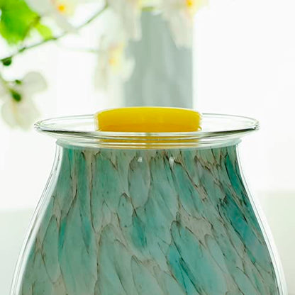 EQUSUPRO 4" Replacement Glass Round Dish Bowl for Oil Wax Melt Warmers Burners (Clear Glass)
