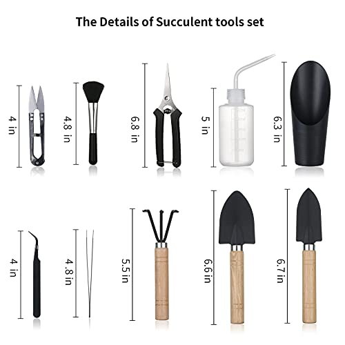 11Pcs Succulent Tools, Mini Garden Tools, Plant Repotting Set(No Flowerpot) | Succulent Watering Tool as Plant Accessories,Small Gardening Hand Tools Kit for Indoor Seedling Soil,Caring Houseplant - style: Abundant Garden Tools