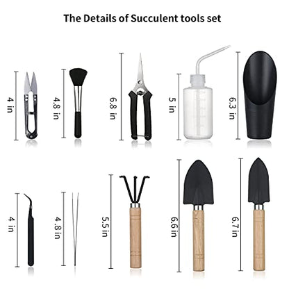 11Pcs Succulent Tools, Mini Garden Tools, Plant Repotting Set(No Flowerpot) | Succulent Watering Tool as Plant Accessories,Small Gardening Hand Tools Kit for Indoor Seedling Soil,Caring Houseplant - style: Abundant Garden Tools