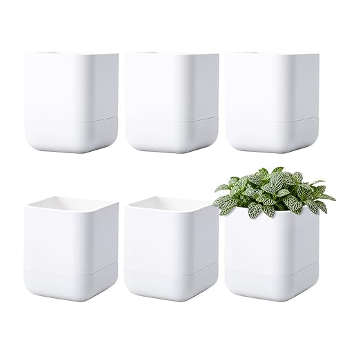 Phoenix Vine 3.5 Inch Wall Mounted Self-Watering Planter Pot for Indoor Houseplants and Herbs | Hanging Planter for Window Sills, Bathroom Walls, Home & Office Décor, White, Set of 6, 01-A-D-6 - color: White, size: 3.5" (6 Pack)